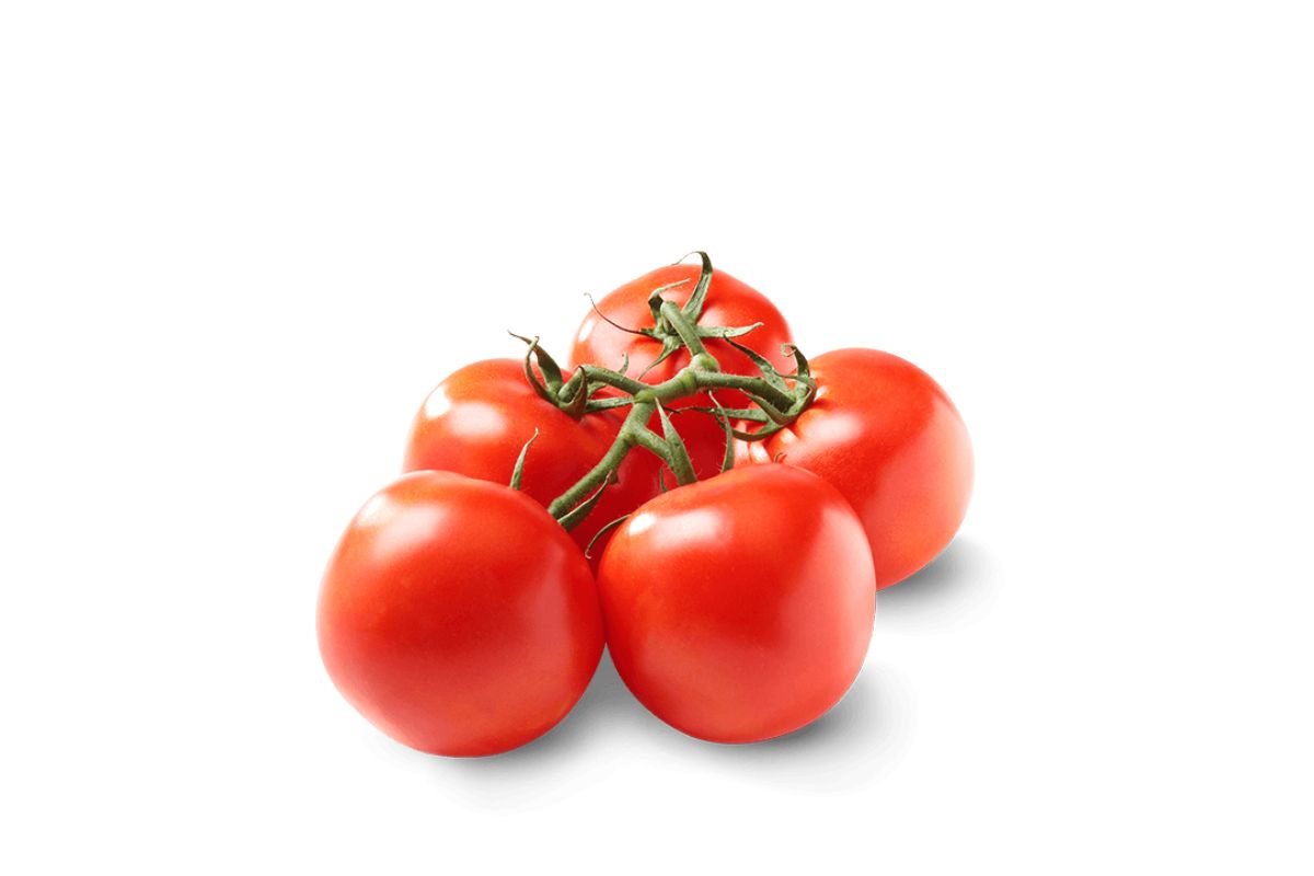 Tomatoes on Vine