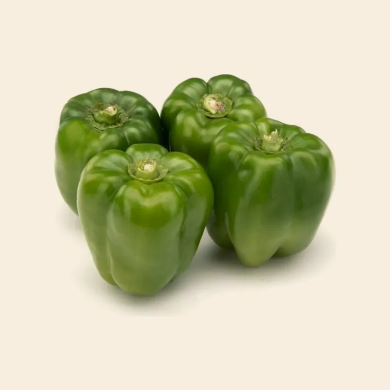 Capsicum Green (Bell pepper)