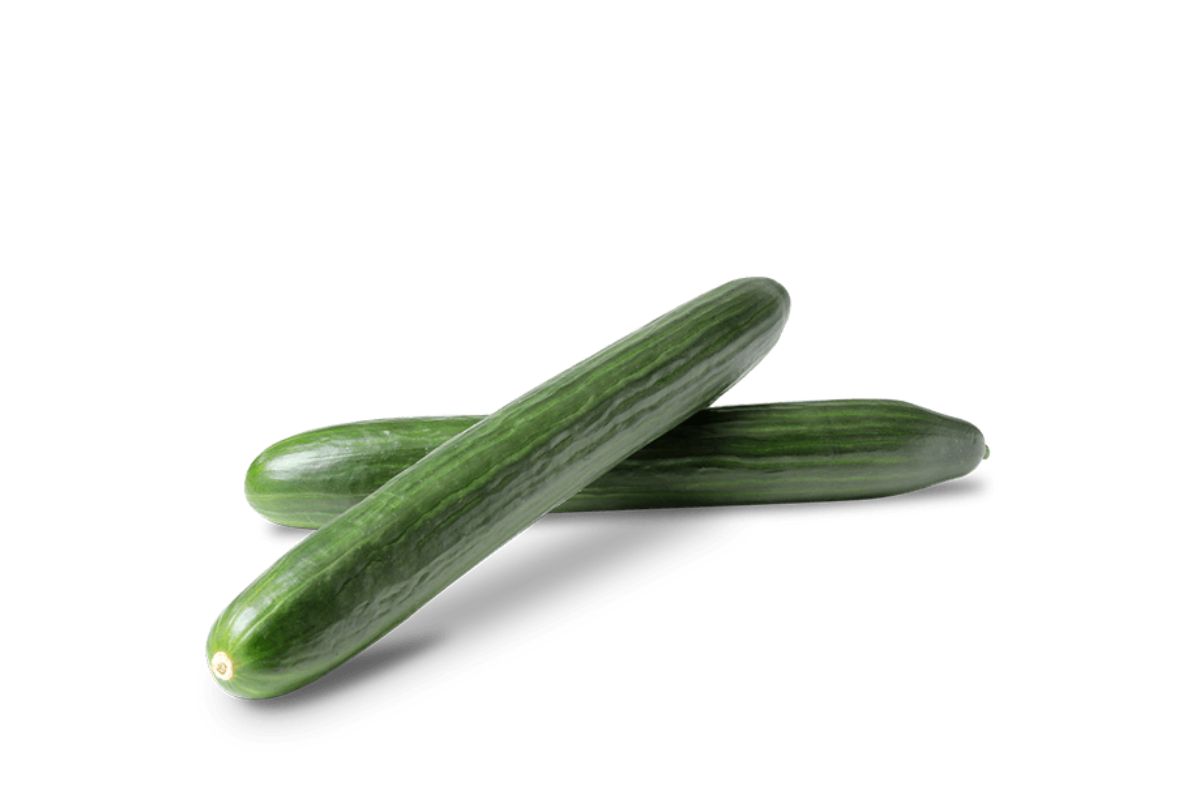 Cucumber English Long