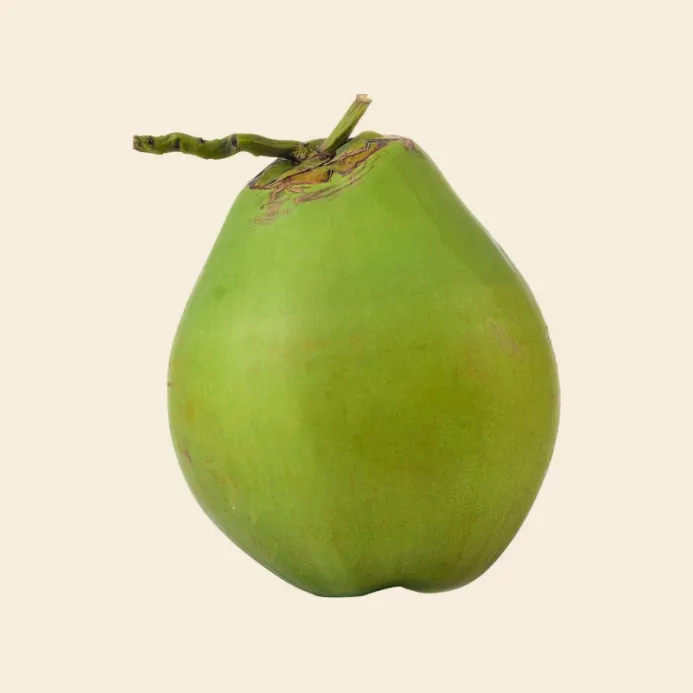Coconut Green (With Water)