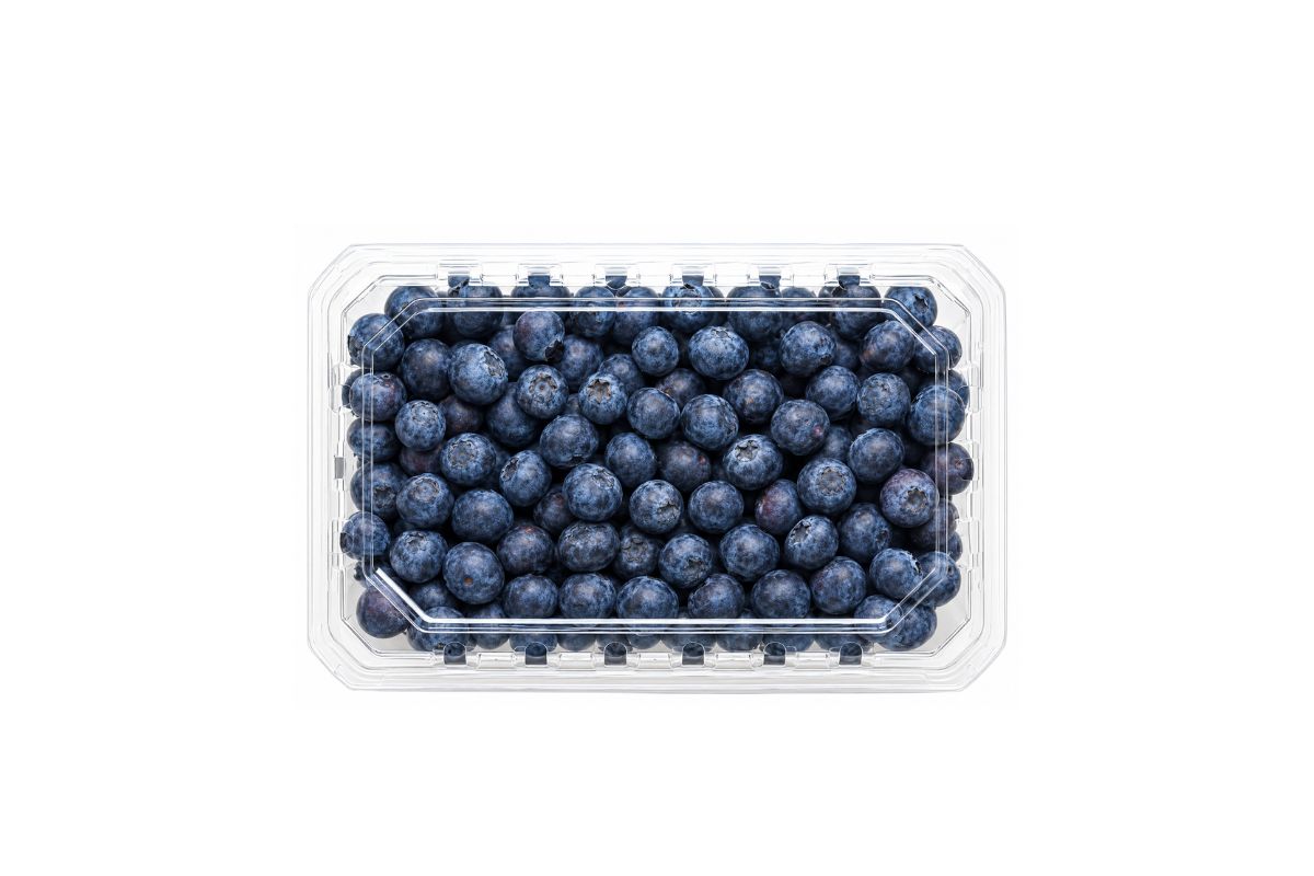 Blueberry Box