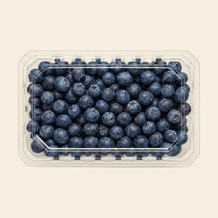Blueberry Box