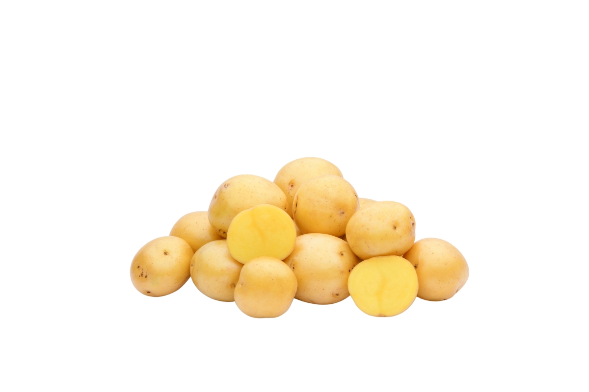 Potato Yellow