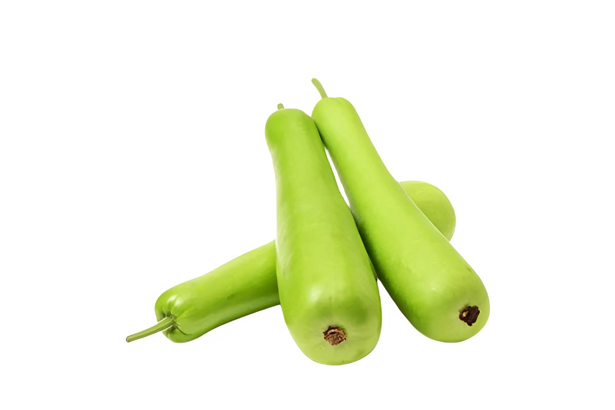 Indian Long Squash (Lauki)