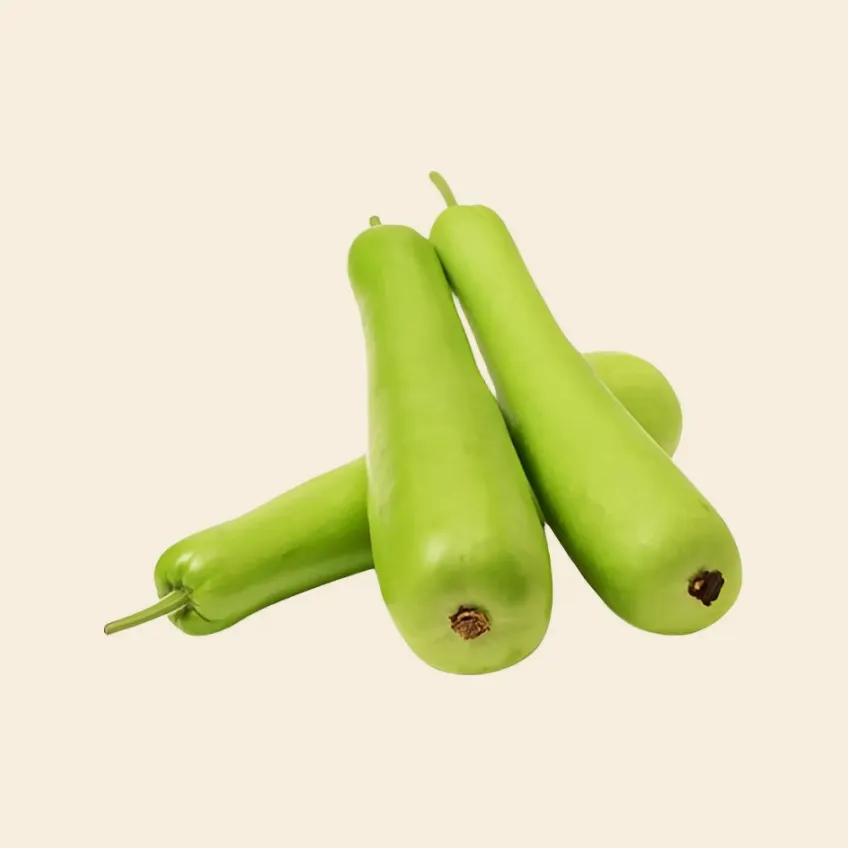 Indian Long Squash (Lauki)