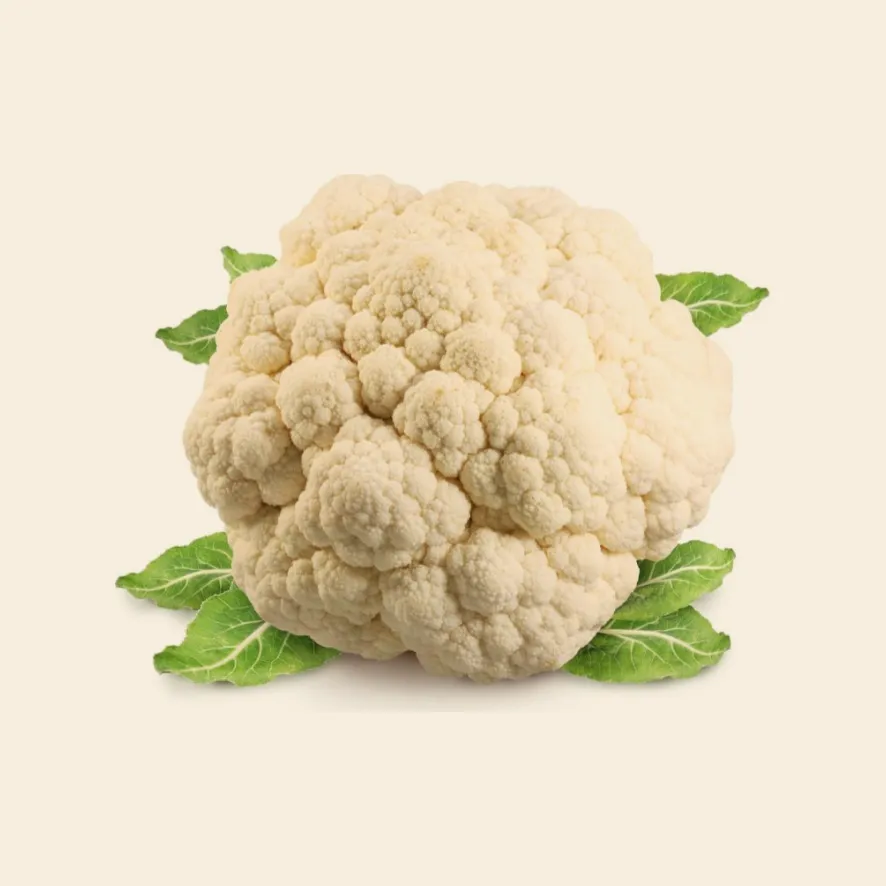 Cauliflower (Medium~Large)