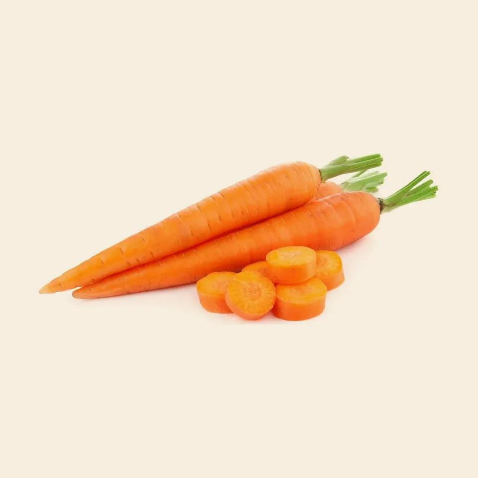Orange Carrot