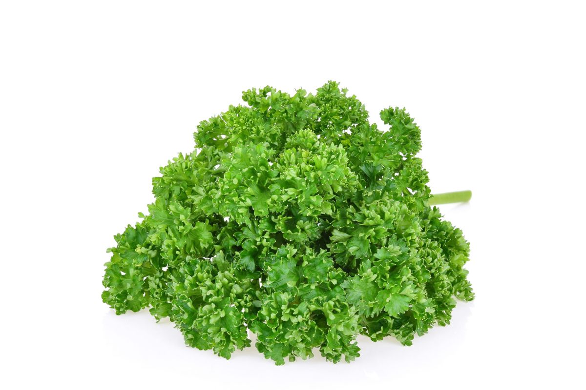 Parsley