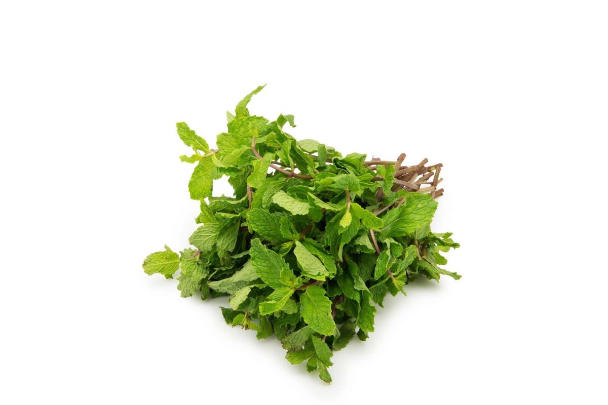 Mint leaves