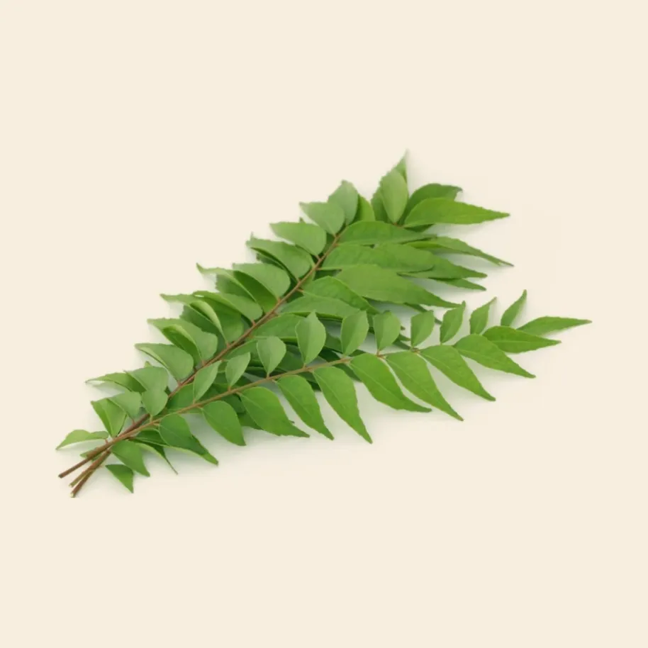 Curry Leaves