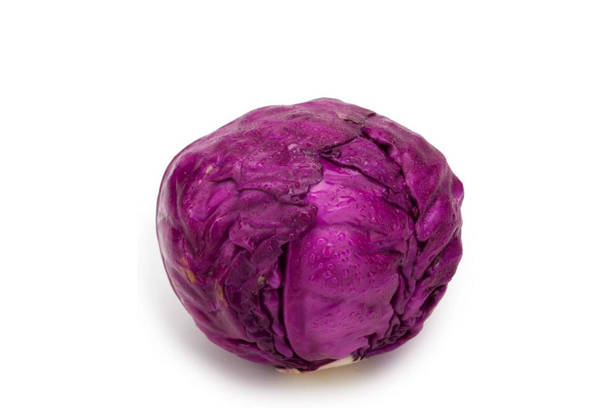 Purple Cabbage