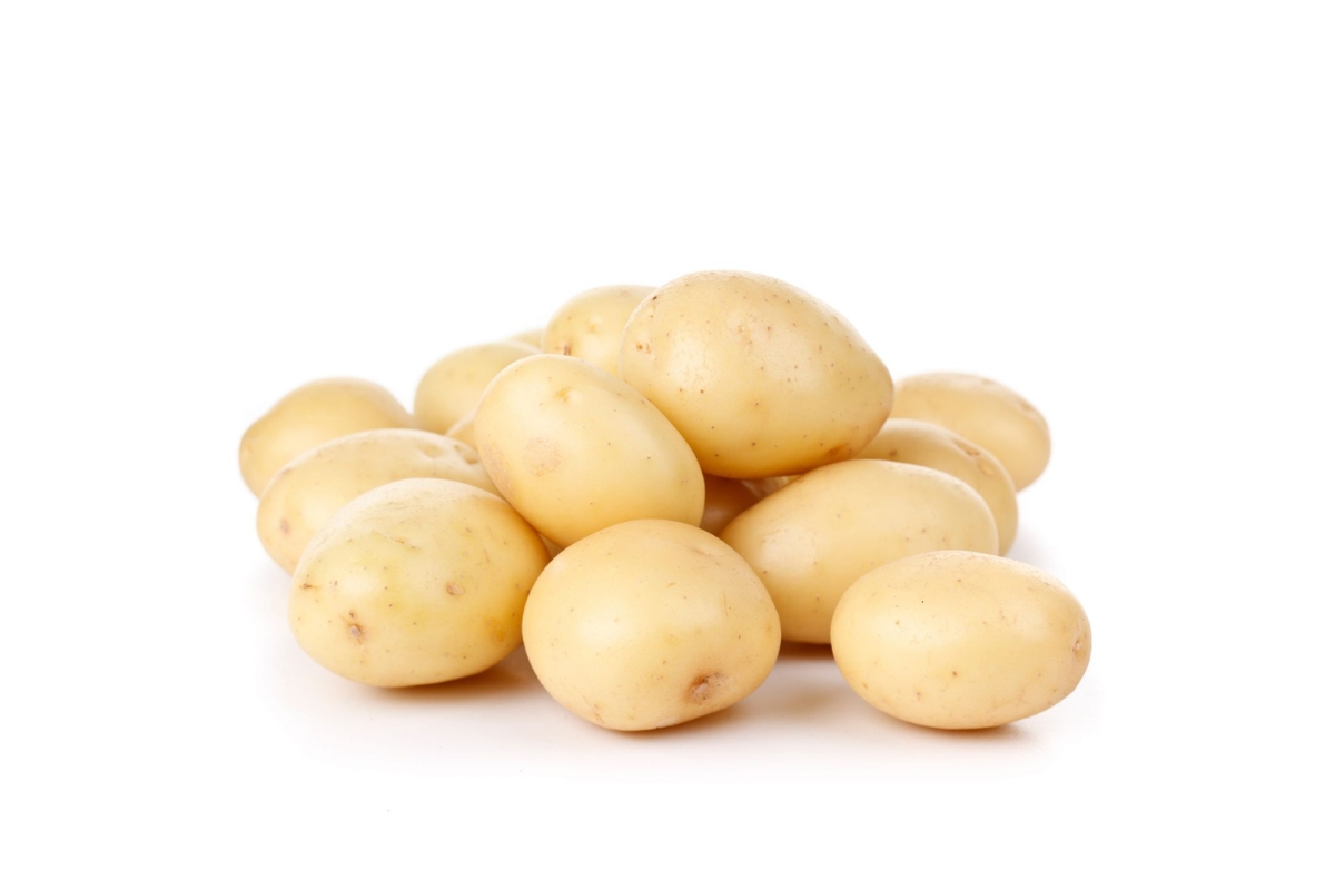 Potato White image