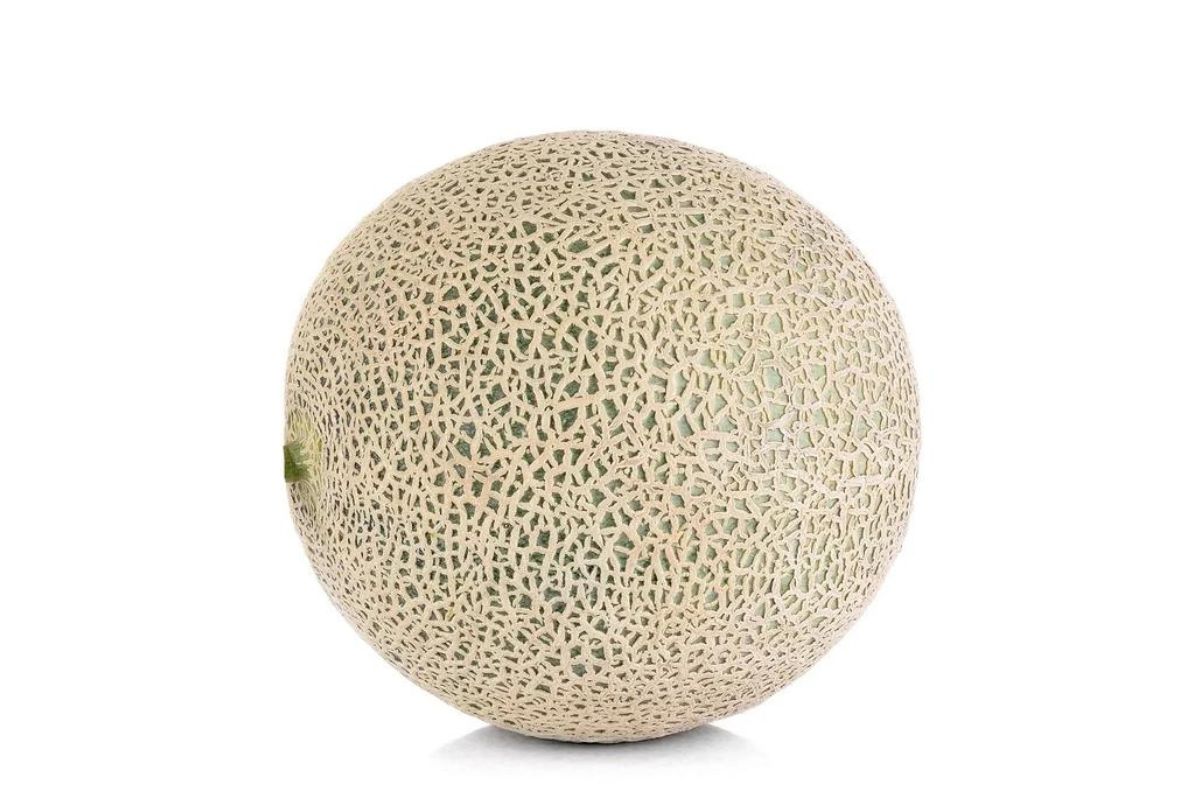 Cantaloupe