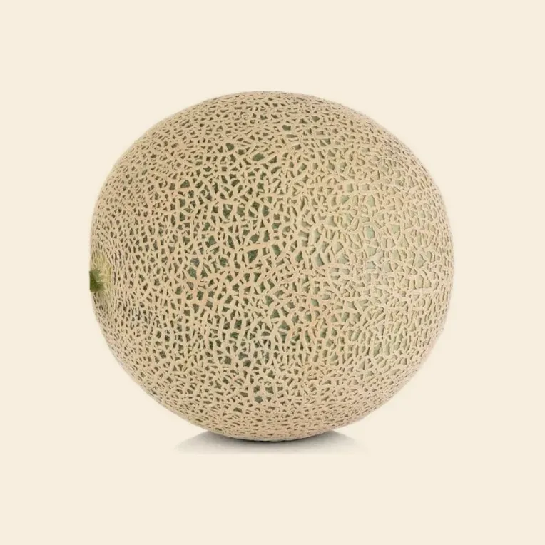 Cantaloupe