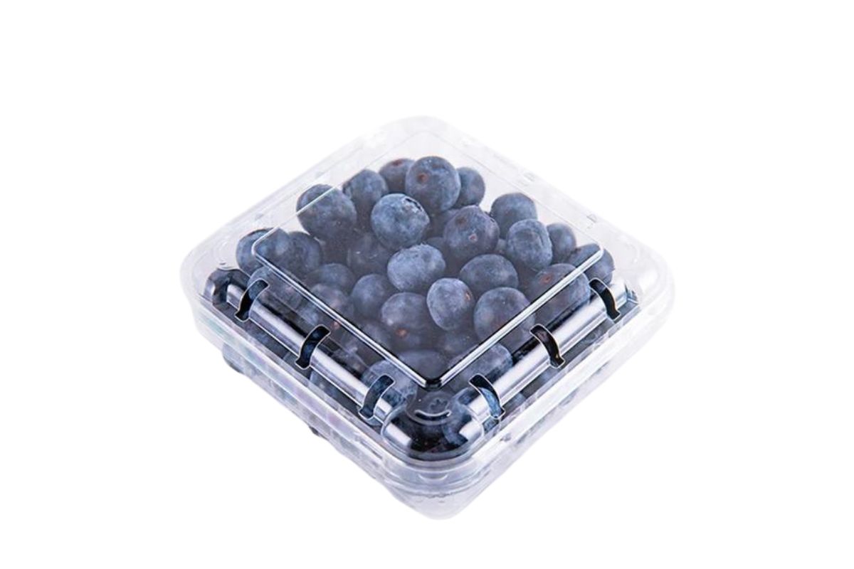 Blueberry Box image