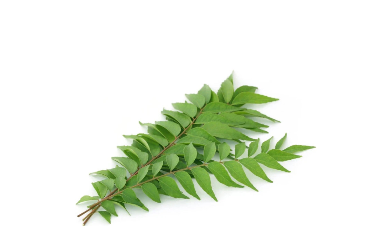 Curry Leaves image