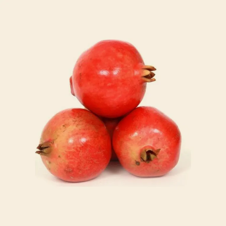 Pomegranate (Medium to Large)