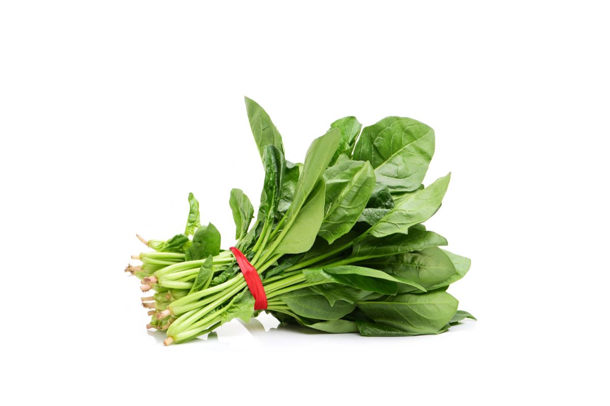 Spinach