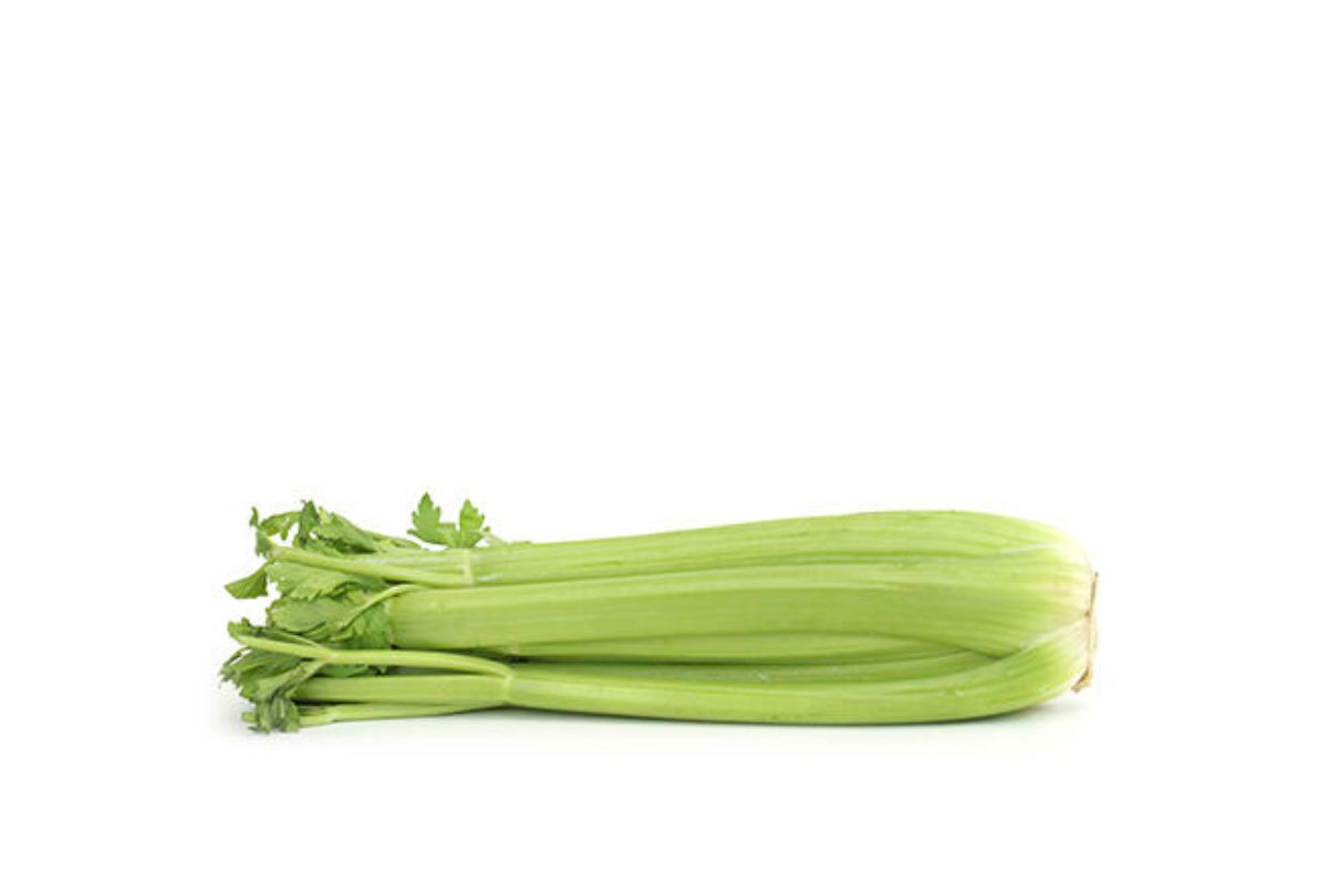 Celery Stalks