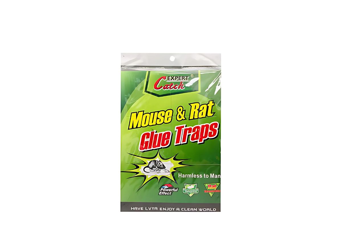 Mouse & Rat Glue Traps image