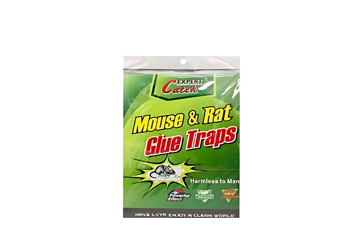 Mouse & Rat Glue Trap
