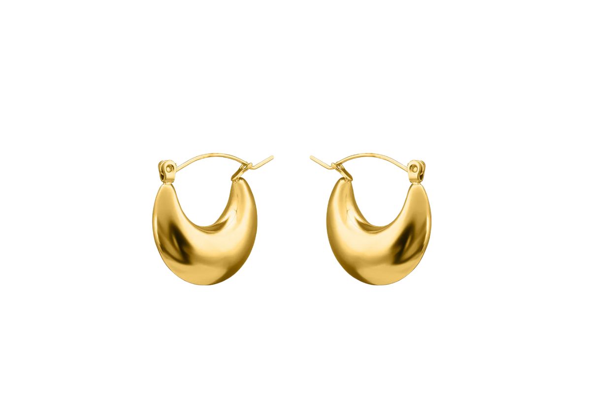 Convex Crescent Earrings image