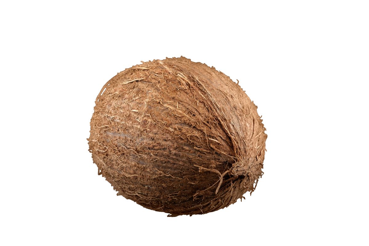 Coconut Dry