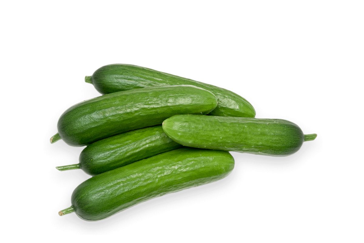 Cucumber Mini