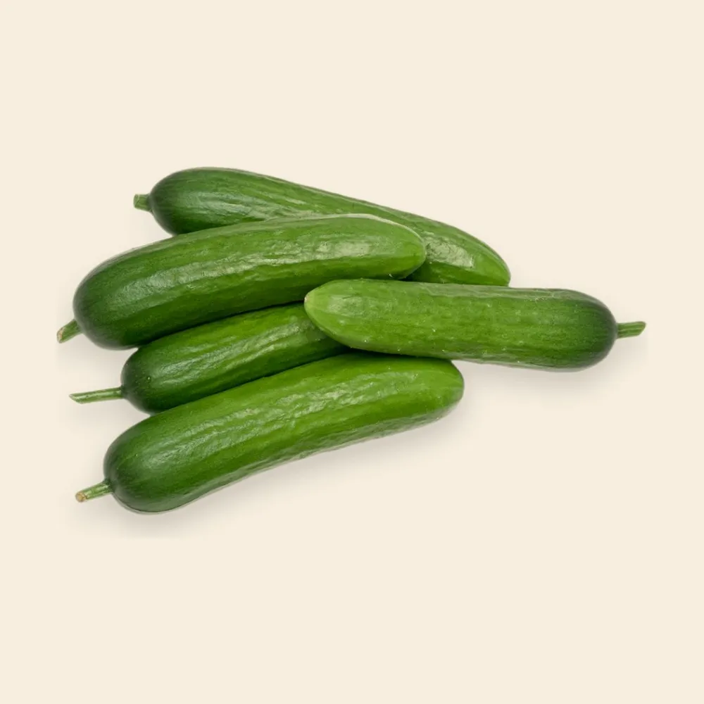 Cucumber Mini