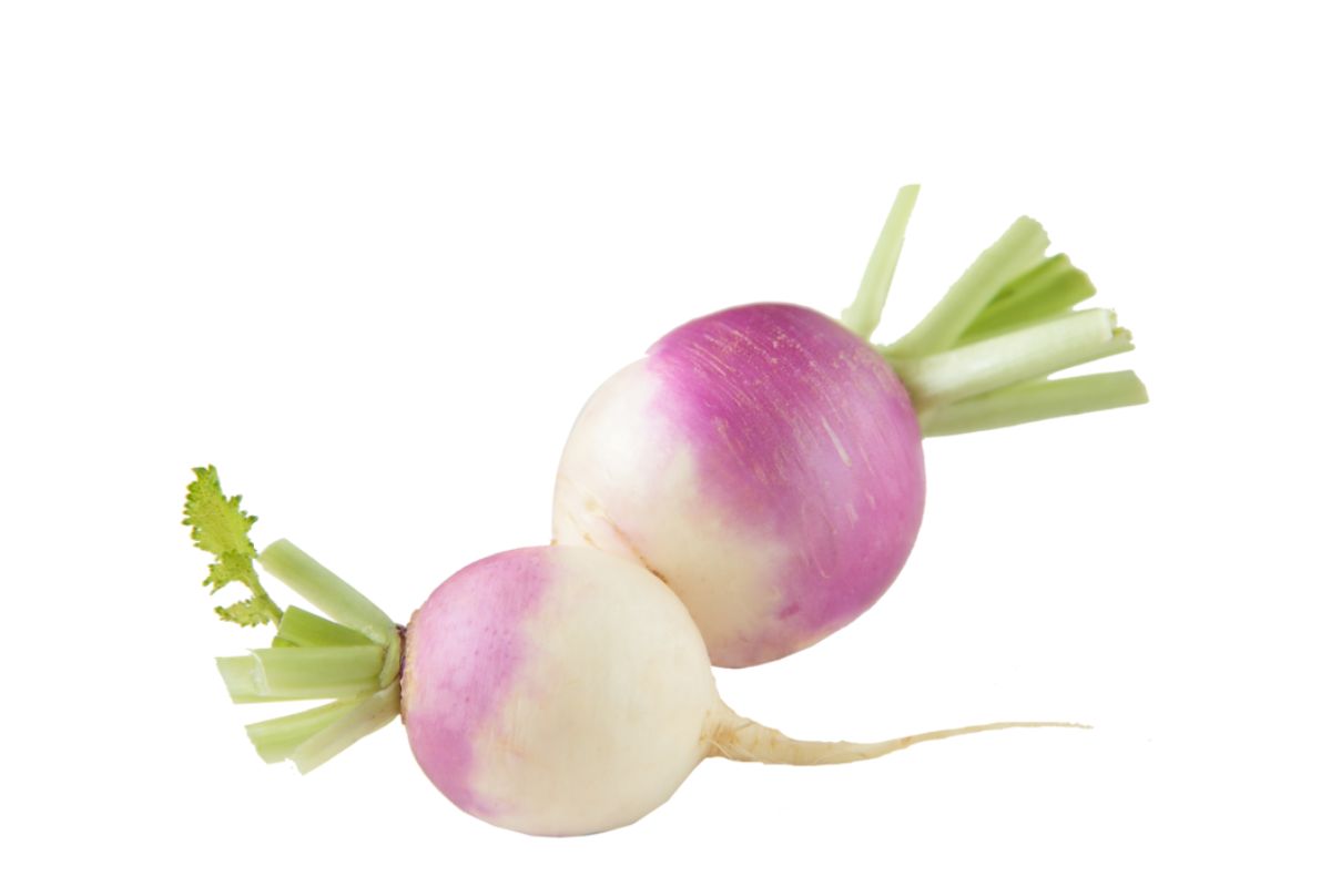 Turnip (Shalgam)