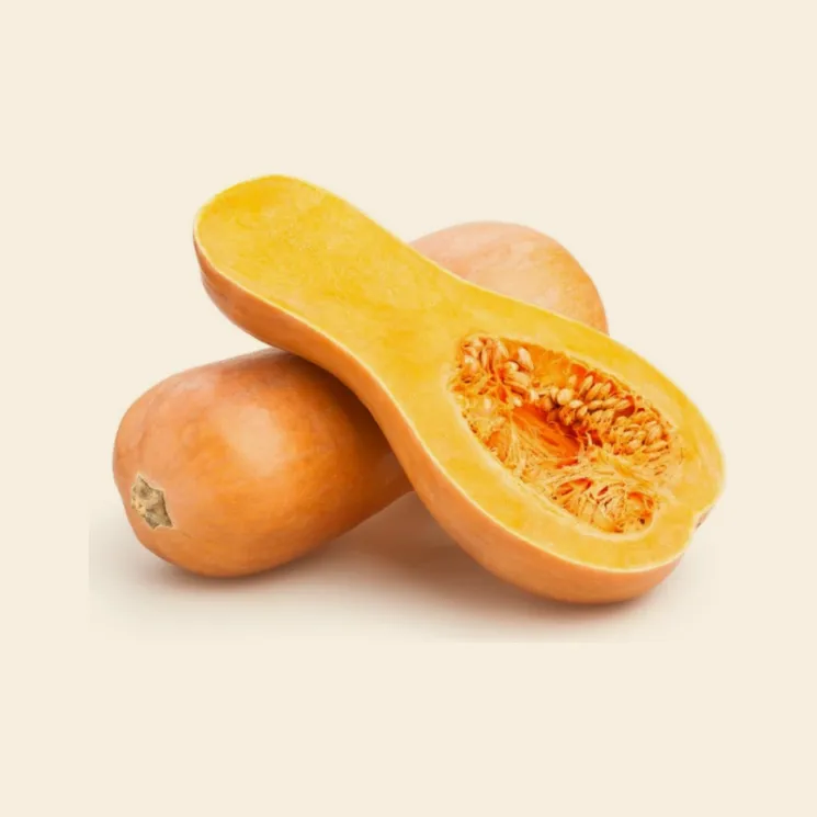 Butternut Squash