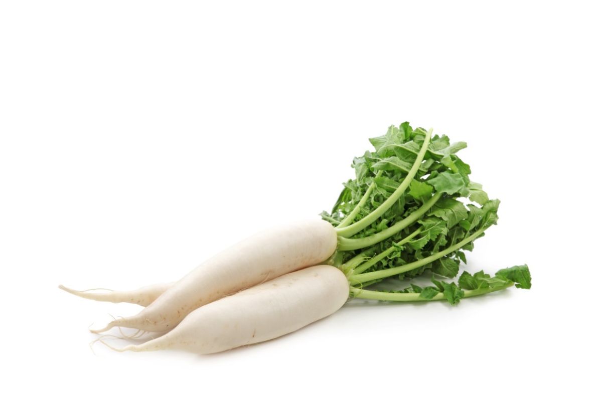 White Radish (Mooli)