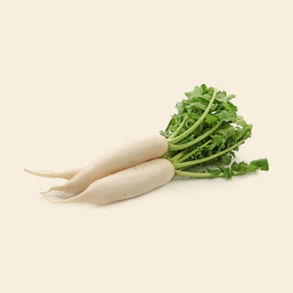White Radish (Mooli)